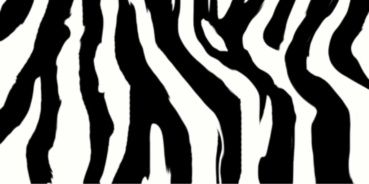 Zebritasb's profile banner image