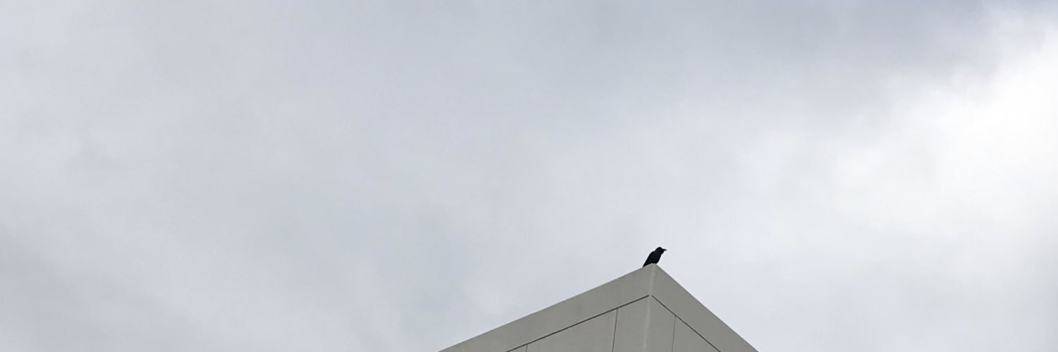 cumin's banner