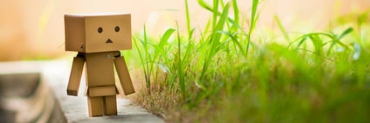 Anjas_limited banner