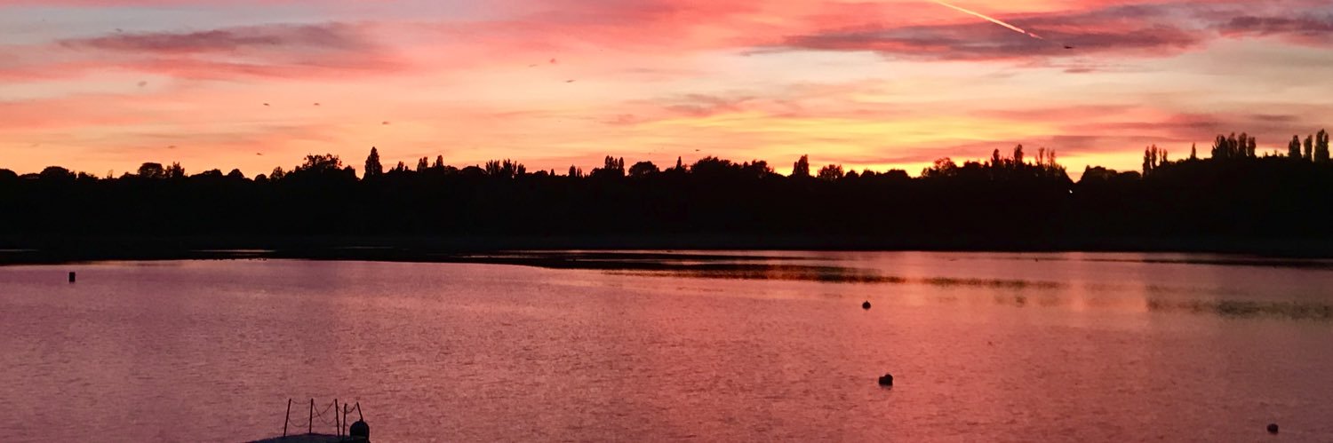 Marcus Bernasconi banner