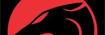 laiongg's profile banner image