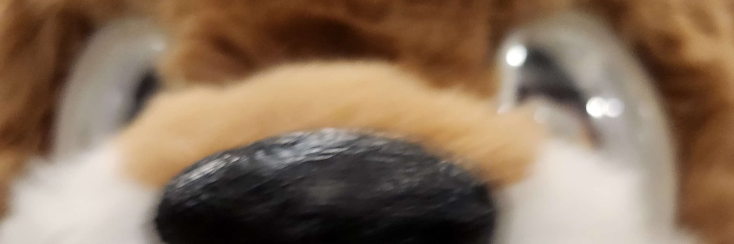 pp (퍼슈트 계정) banner