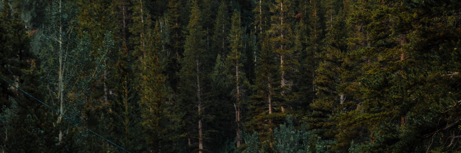 MARYreyen's profile banner image