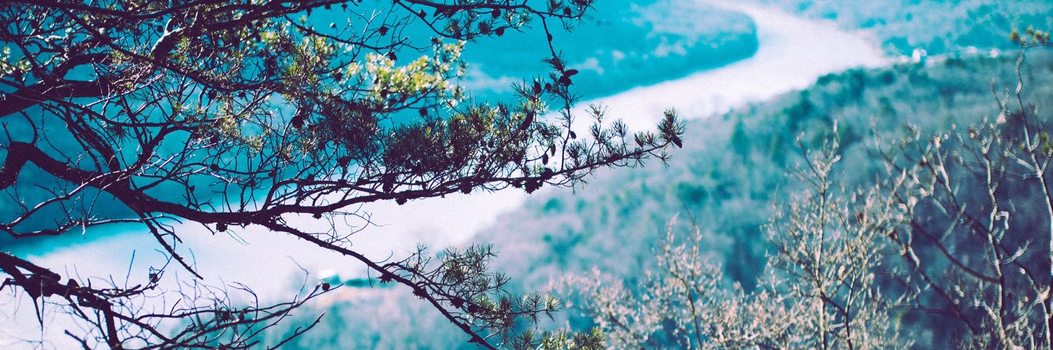 WalkersMemeWrld's profile banner image