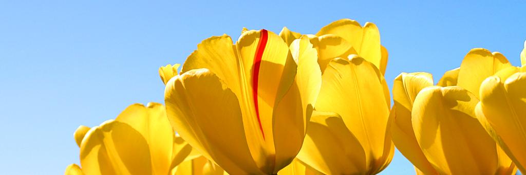 ashwini0602's profile banner image