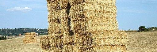 Σαλάγατα banner