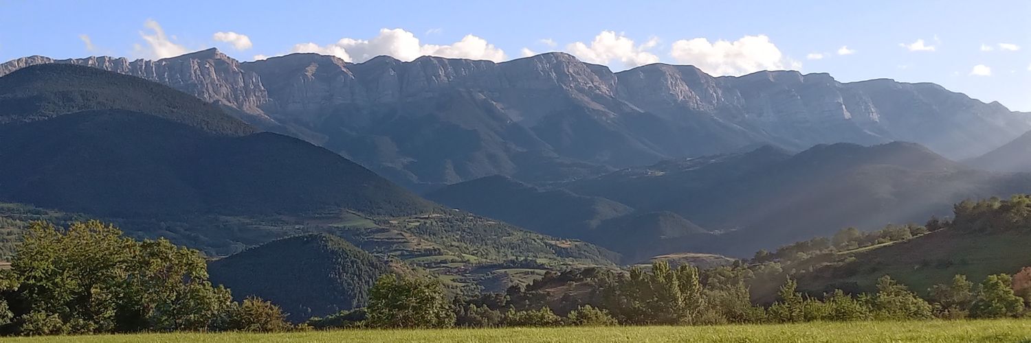 siindrietaaa's profile banner image
