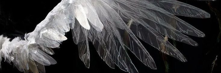 minwcals's profile banner image