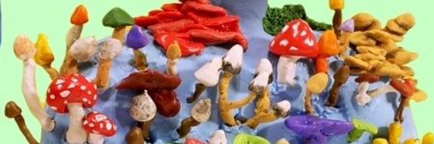 Special Shrooms 🍄 Profile Banner