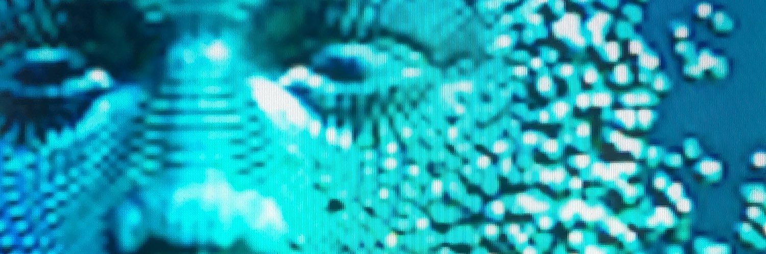 J. ALBERTO LEYES banner