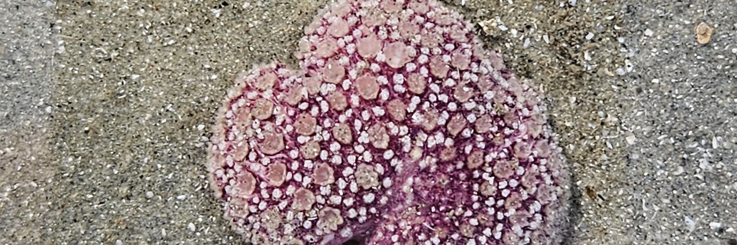 EdPaul44's profile banner image