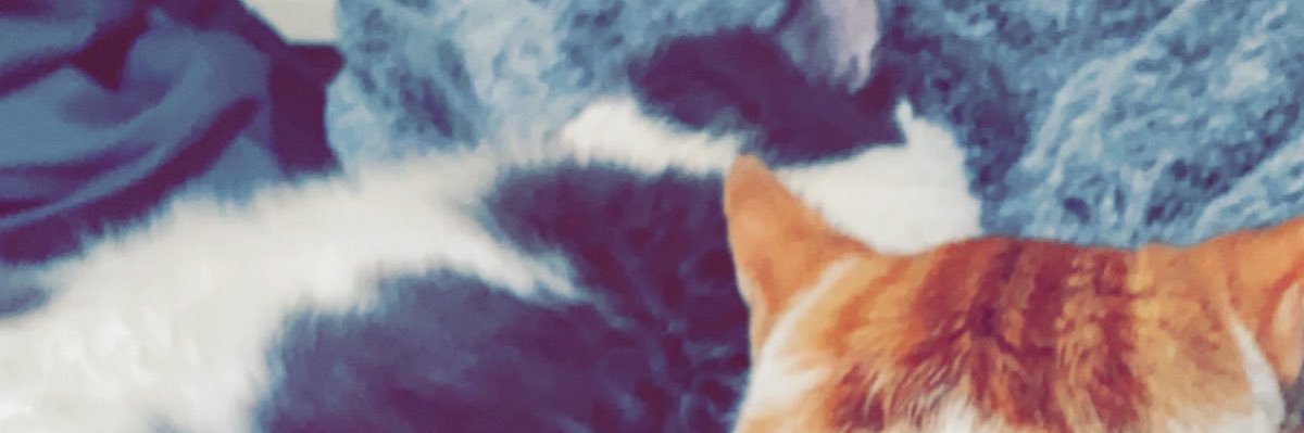 Kitt__ee's profile banner image