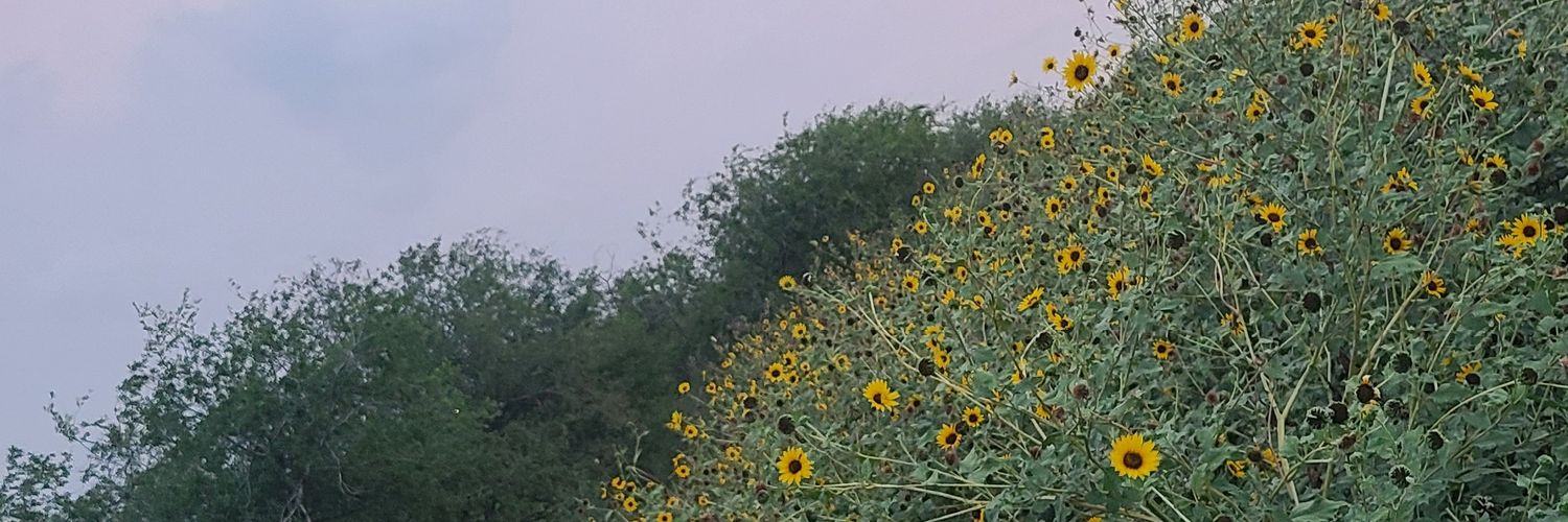 jussjacq's profile banner image
