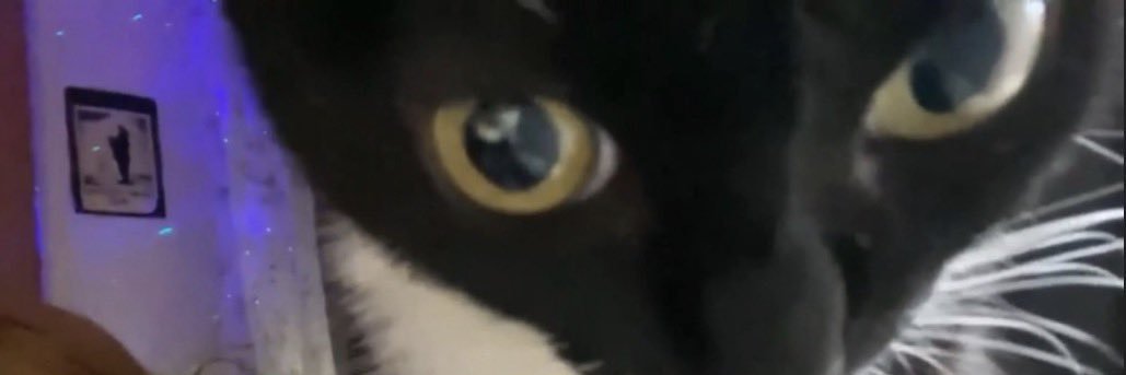 maya01978's profile banner image