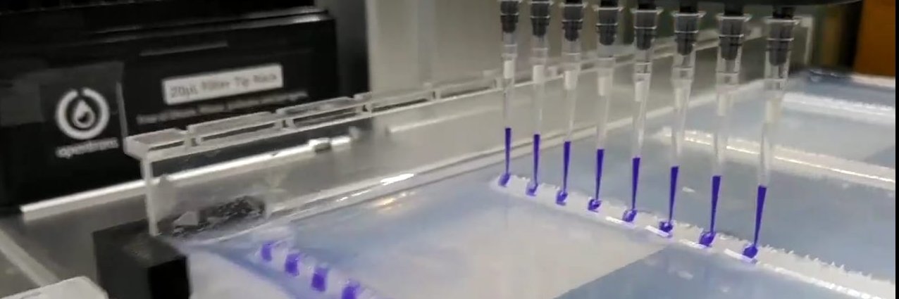 silvtal's profile banner image