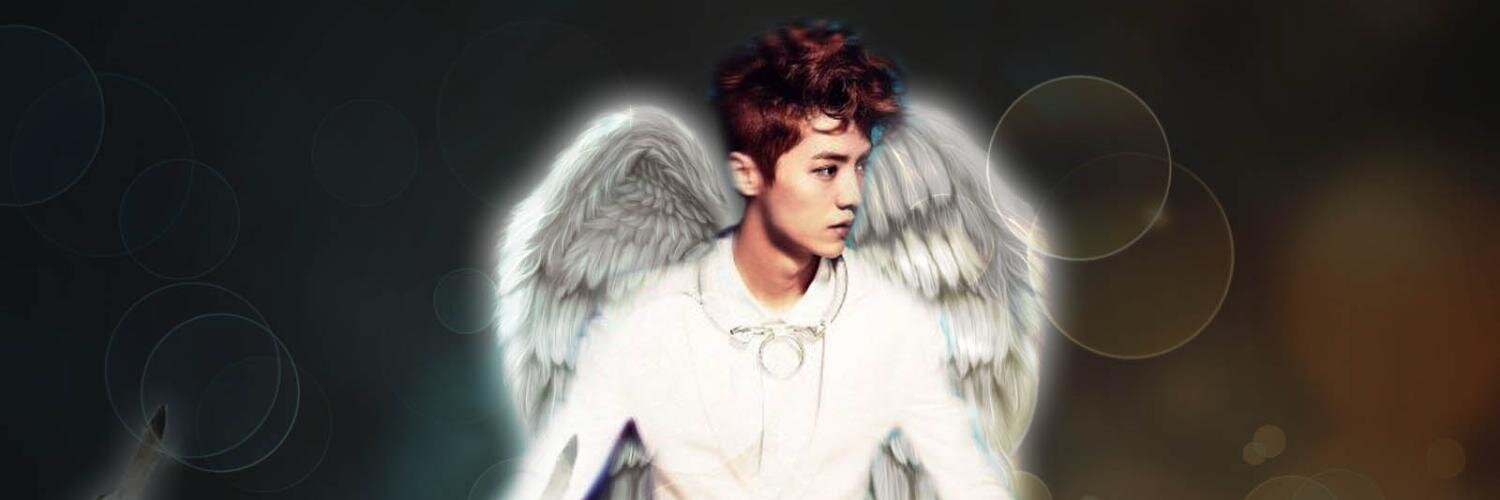 deervrds's profile banner image