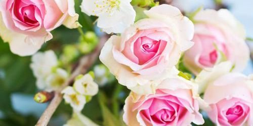MARIELARESTART's profile banner image