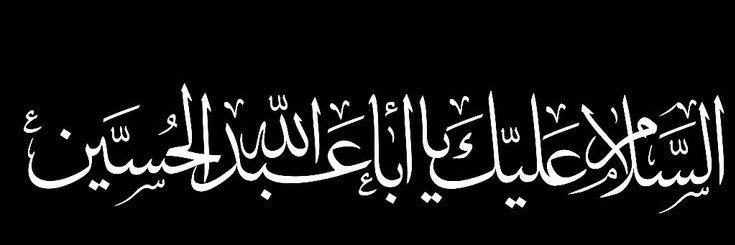 Syeda Rizvi🌸's banner