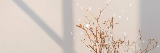 ❄🍀 banner