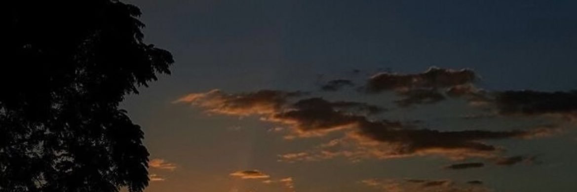 BUIKEM BACK UP banner