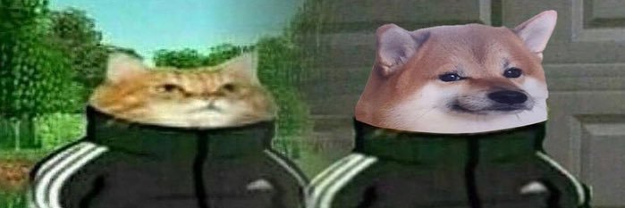 qzi banner