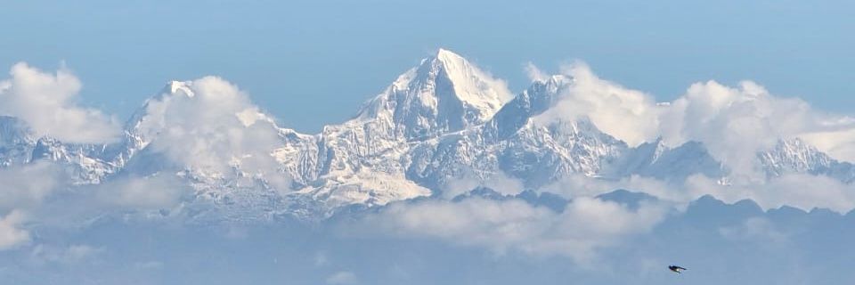 Alexander Mishra banner