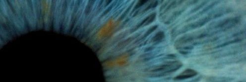 AmesisEr's profile banner image