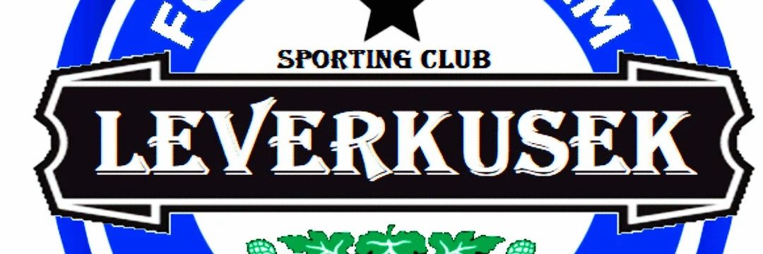 LEVERKUSEK MPLS banner