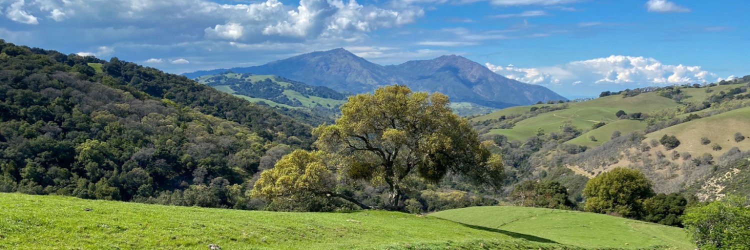 Stephen Austin banner