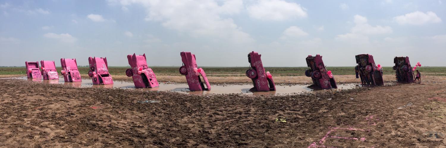 Shannon Knebusch banner