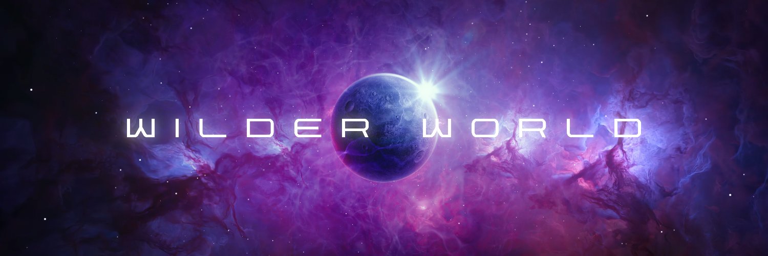 Wilder World Sales's banner