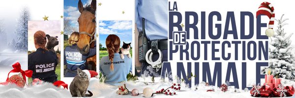 Brigade_BPA Profile Banner