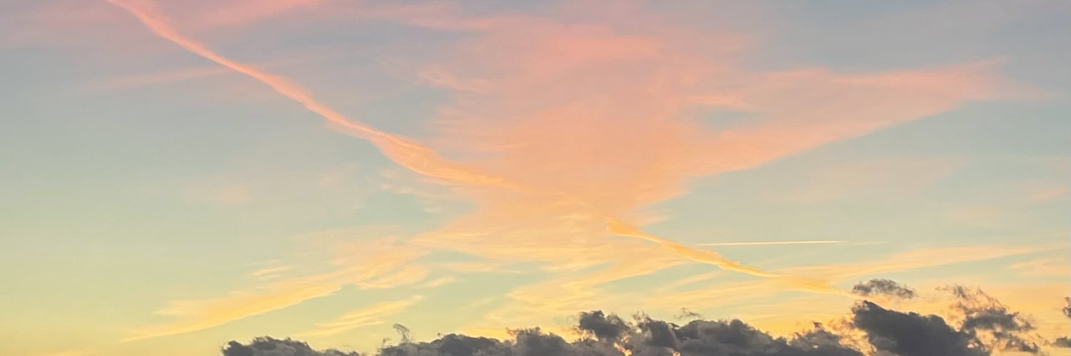 _ElenaVega's profile banner image