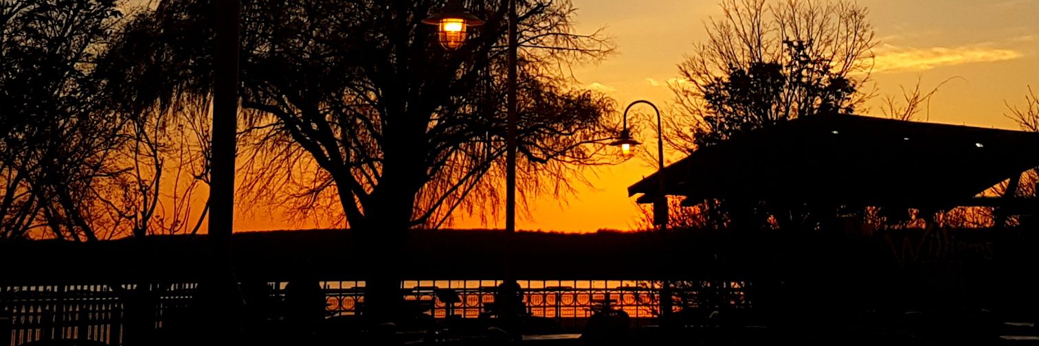 seanwmca's profile banner image