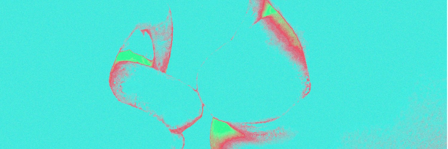 Numerotic's profile banner image