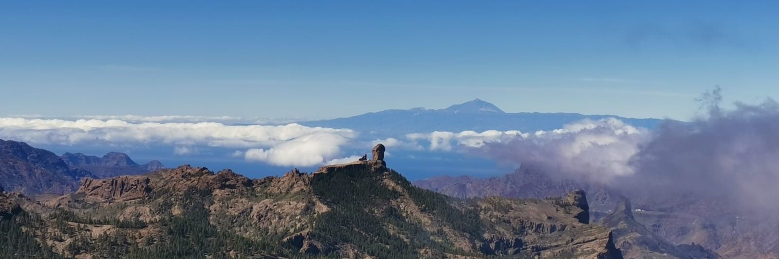 Sánchez🇮🇨 banner