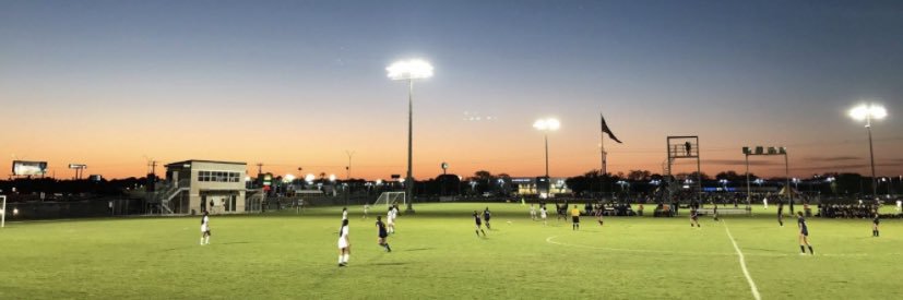 Aly Zingelmann banner