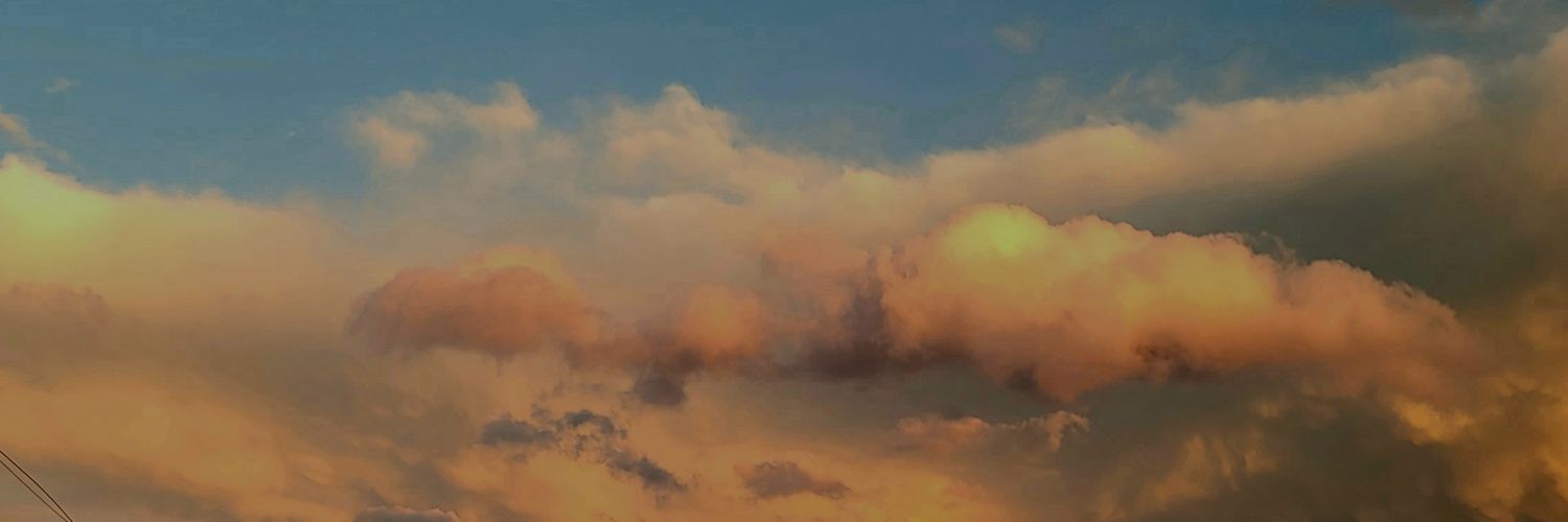 🐾 джин ᶍтонік 🇺🇦 banner