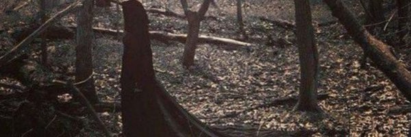 Moldvia1 Profile Banner