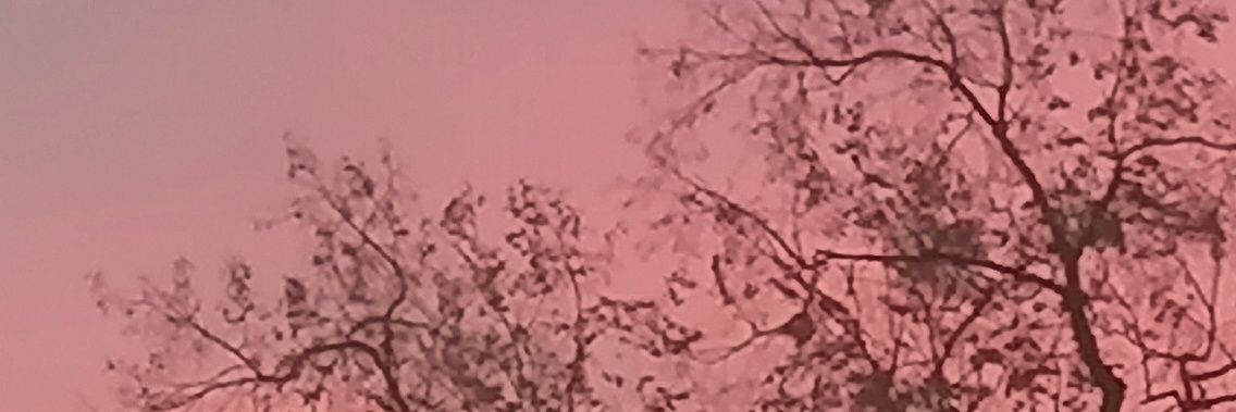 __saviel's profile banner image