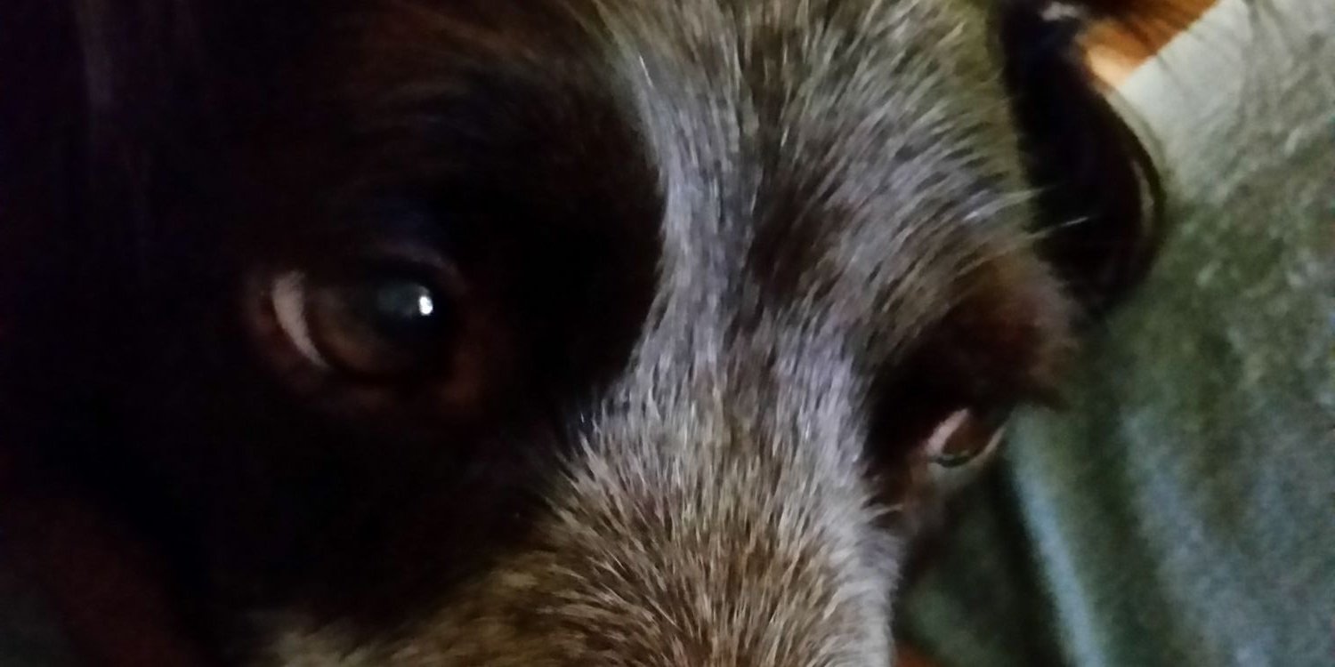 jimbodacious47's profile banner image