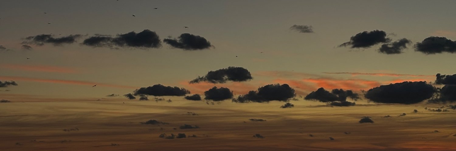Alis_dhn's profile banner image