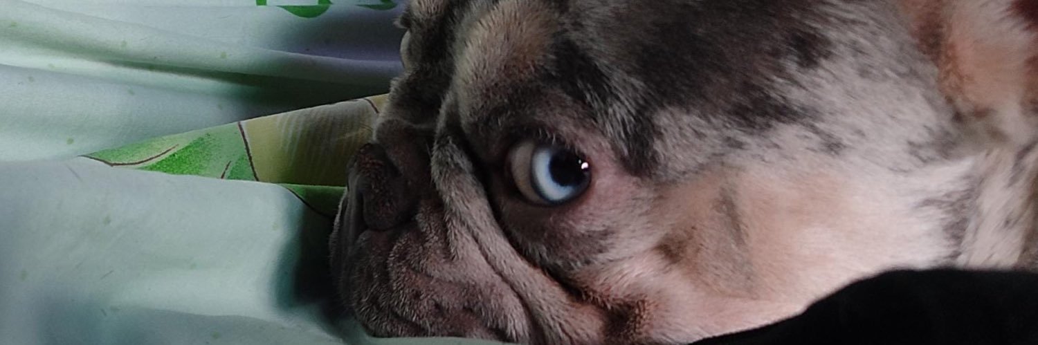 BogdgdanS's profile banner image