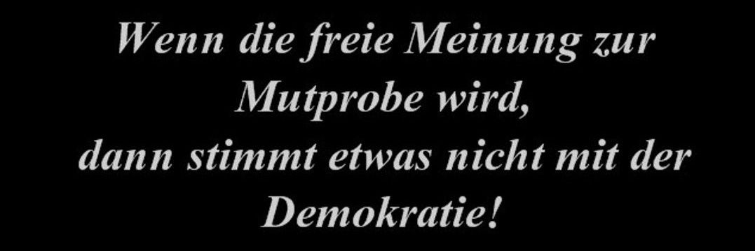 Skeptikerin🤔🕊✌️🇩🇪🫸🧕 banner