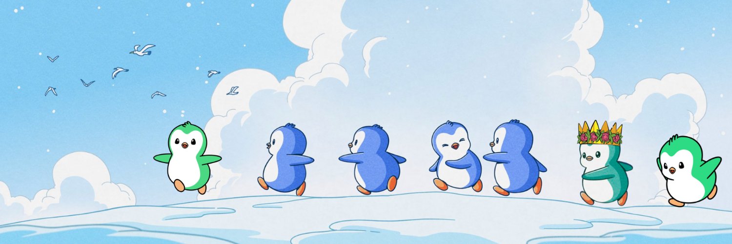sillybilly 🐧 banner