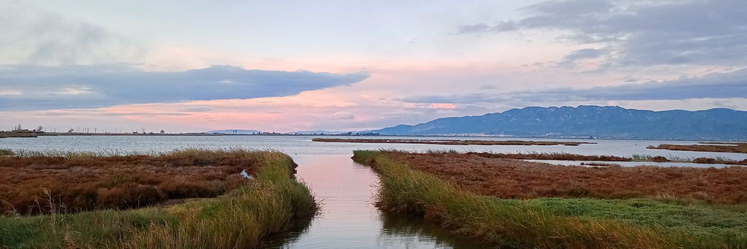 Anastasia Charitou banner