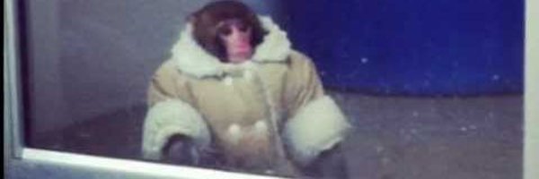 NewtronGooner Profile Banner