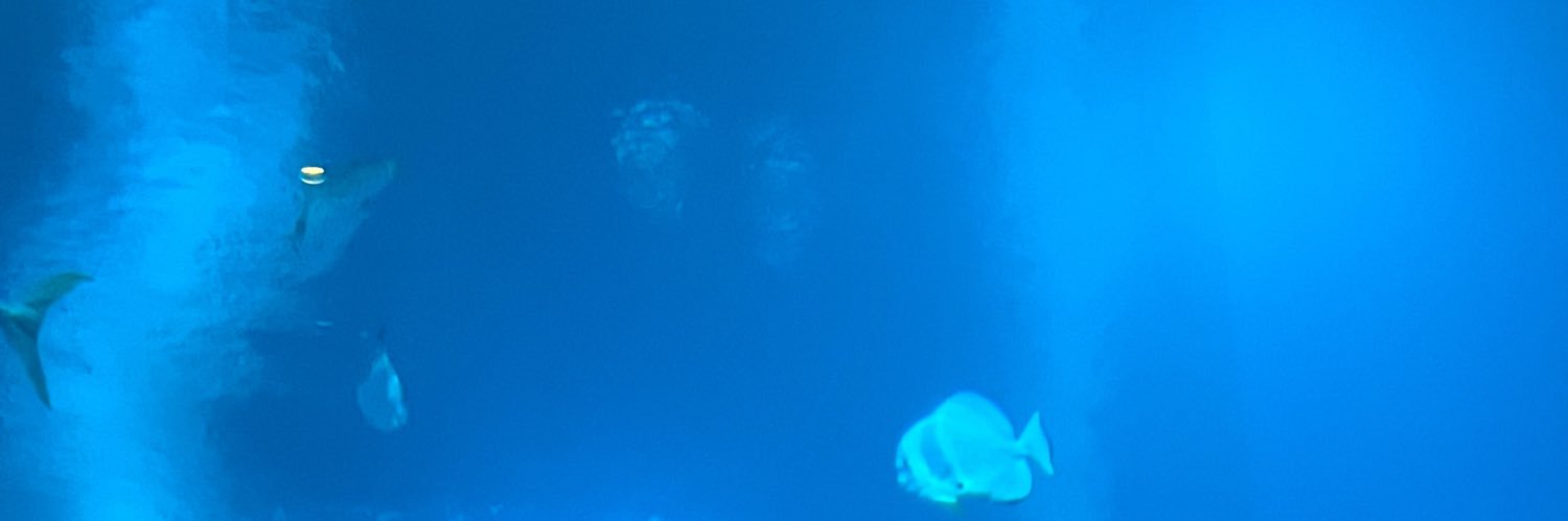 jo lanez banner