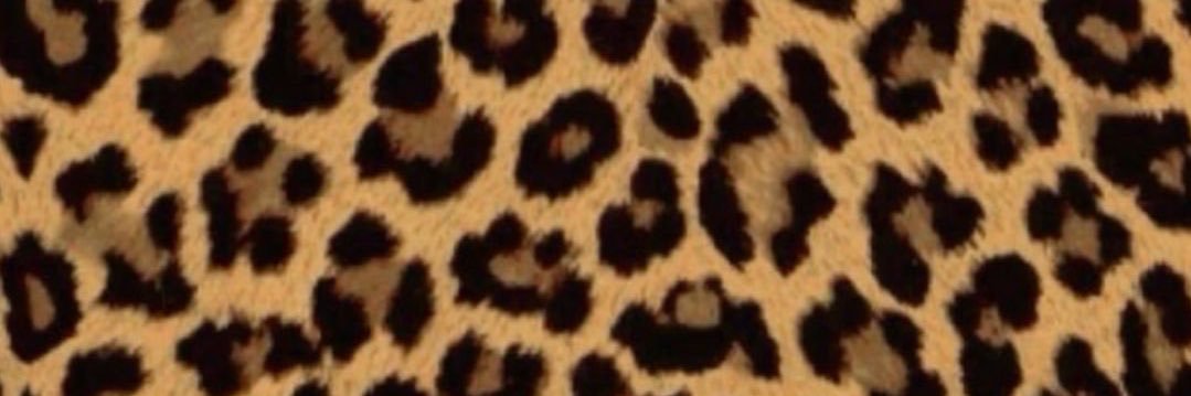imherbtchh's profile banner image
