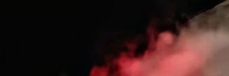 🕊️ banner